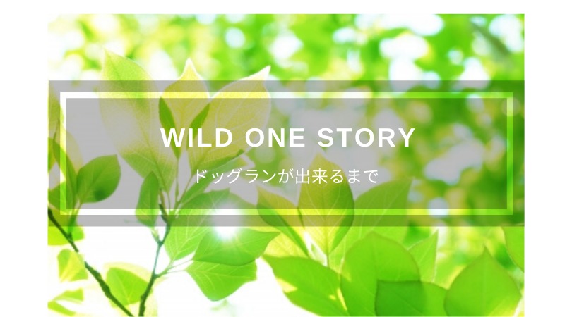 Wild One Story